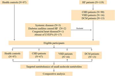 Characteristics of Blood Metabolic Profile in Coronary Heart Disease, Dilated Cardiomyopathy and Valvular Heart Disease Induced Heart Failure